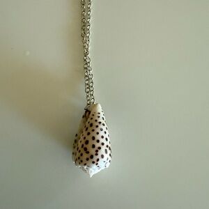 Shell Pendant Necklace with Silver Chain
